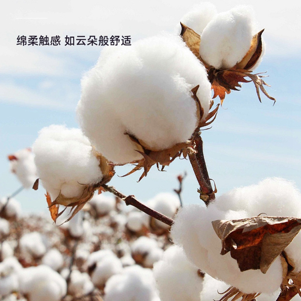 5,0/3,0/2,5 mm Gummikopf, Spec – Cotton Wick Organic Bewertung und Preis